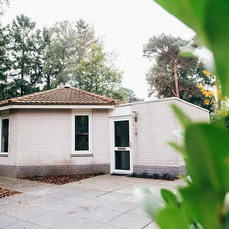 Cosy * Harderwijk